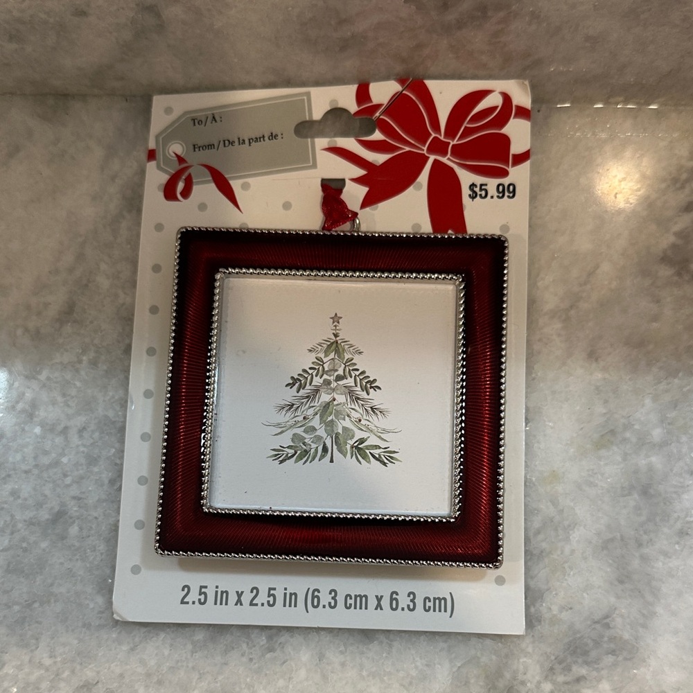 Elegant Silver and Red Holiday Ornament Frame